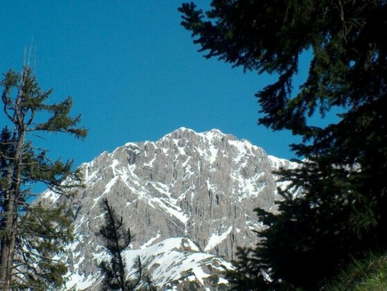 Gasthof Zur Gemutlichkeit - Photo5