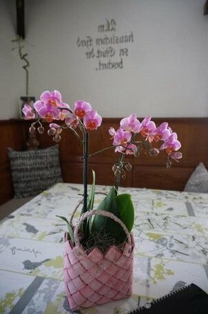 Ferienhaus Meins - Photo4