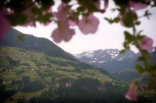 Holiday Home Gruber - Photo5