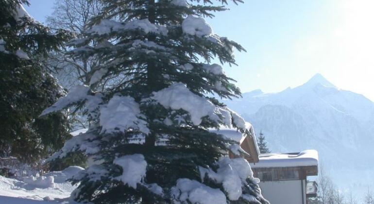 Appartement Haus Talblick - Photo5