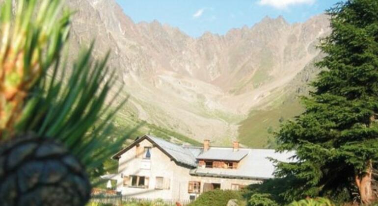 Hotel Larchenhof Kaunertal - Photo5