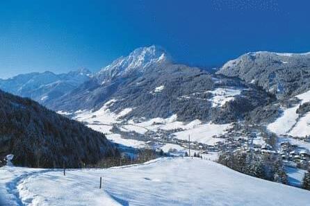 Hotel Larchenhof Kleinarl - Photo4