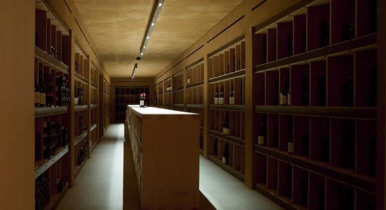 Hotel Almhof Schneider - Photo5