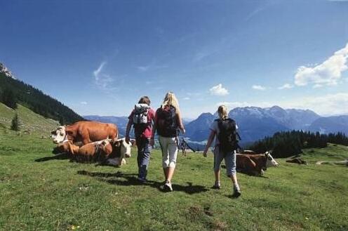 Schatspitze - Photo5
