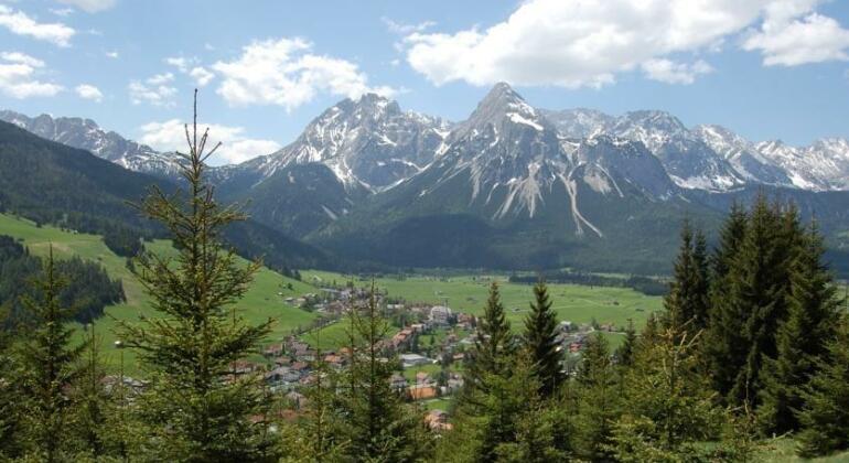 Haus Haas - Photo5