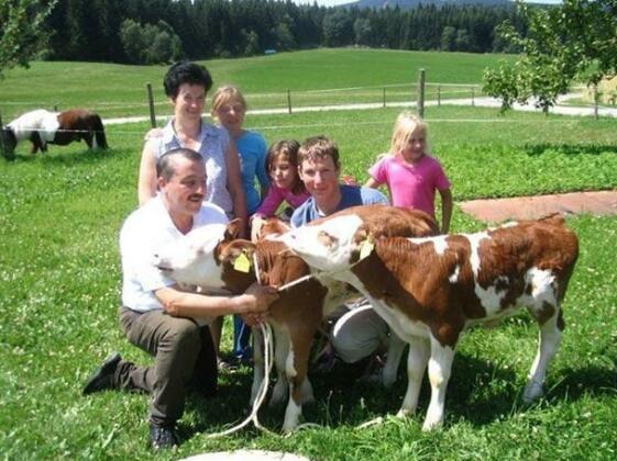 Bauernhof Mittereibenberger - Photo2