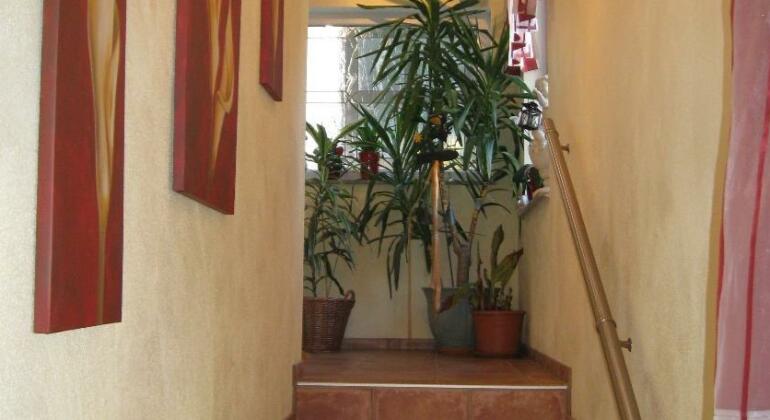 Appartements Schusser - Photo2