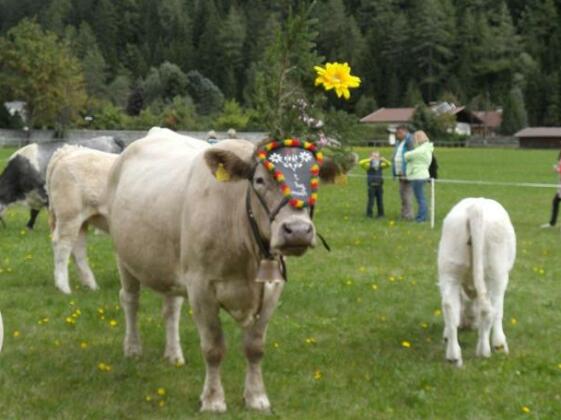 Haus Cornelia Mallnitz - Photo4