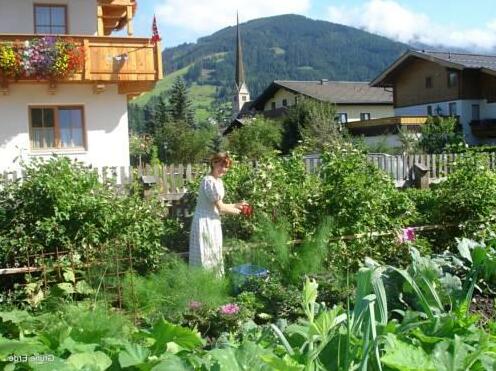 Grune Erde - Photo3