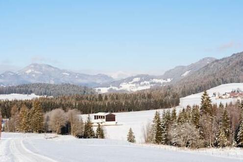 Hotel Gasthof Seeblick - Photo2