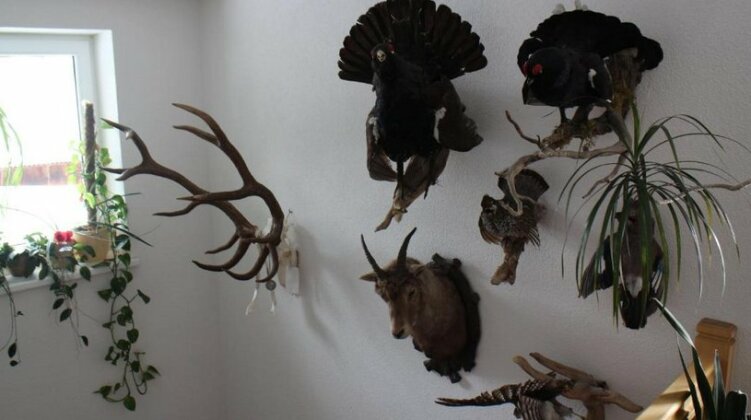 Apart Muntane - Photo5