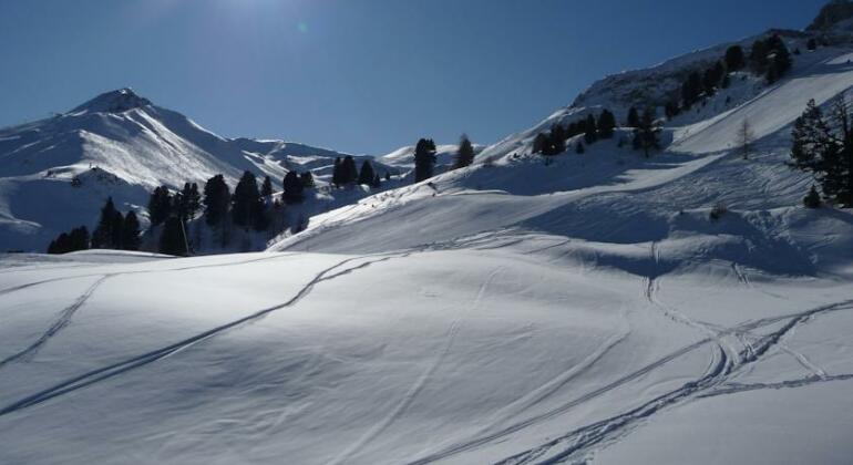 Haus Mattle Mathon - Photo4