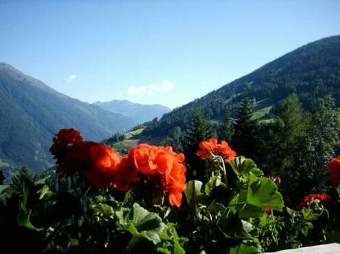 Edelweiss Matrei in Osttirol - Photo4