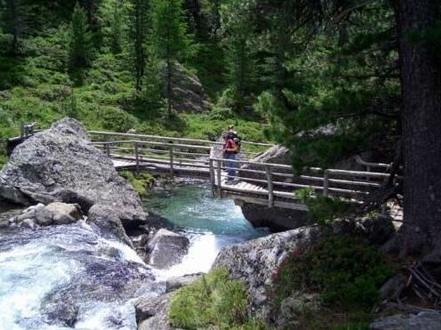 Edelweiss Matrei in Osttirol - Photo5
