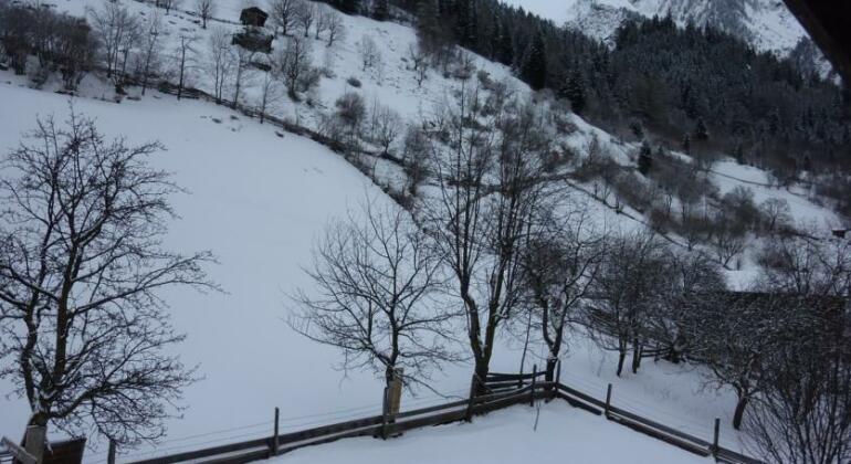 Stampferhof - Photo2
