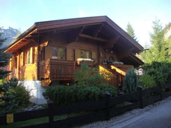 Alpen-Chalets Achensee - Photo4
