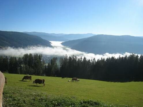 Veitlbauer - Photo4