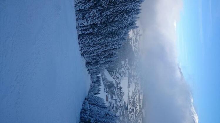 Appartements Rieser - Photo2