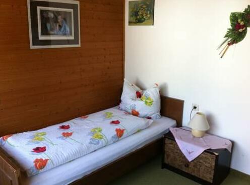 Haus Panorama Pension Mayrhofen - Photo4