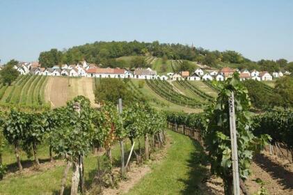 Gastehaus Weinviertel - Niederosterreich