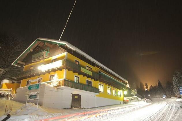 Gasthof Lederer Bike & Snow - Photo2