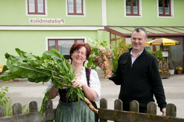 Landgasthof Peilsteinblick - Photo2