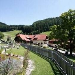 Bauernhof Der Michlbauernhof Urlaub mit Herzlichkeit - Photo2