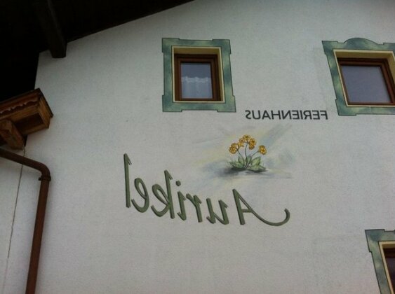 Ferienhaus Aurikel - Photo2