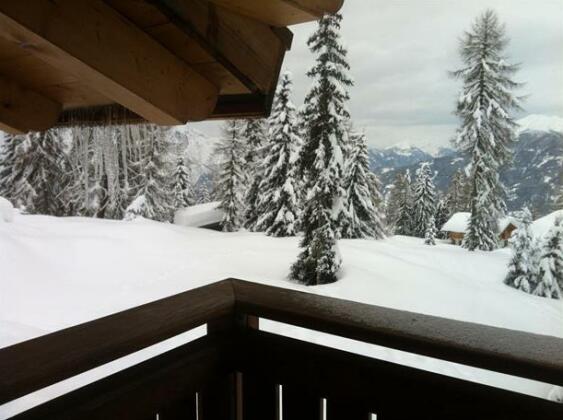 Chalet Faschingalm - Photo2
