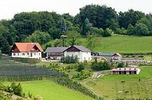 Bauernhof Schwalbenhof - Photo3