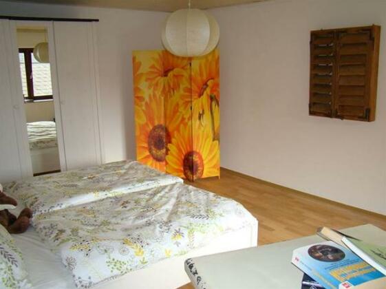 Camping & Pension Au an der Donau - Photo2