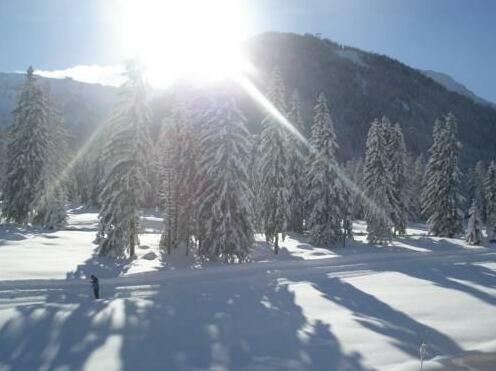 Bergheim Pertisau - Photo2