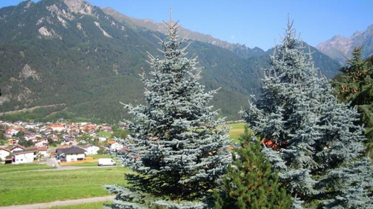Apart Alfons - Photo4