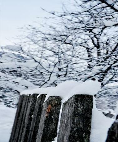 Apart Alfons - Photo5