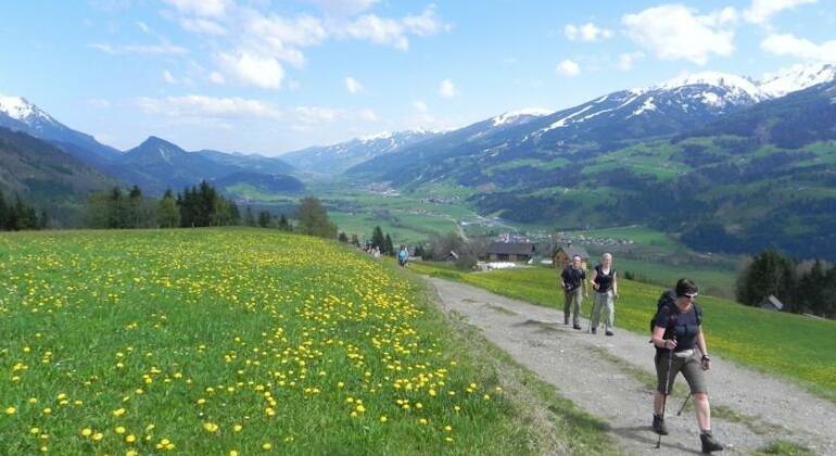 Wander-Vitalhotel Steirerhof - Photo5