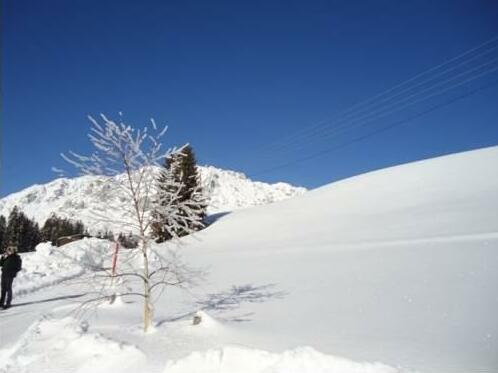 Pension-Greimelbacherhof - Photo3
