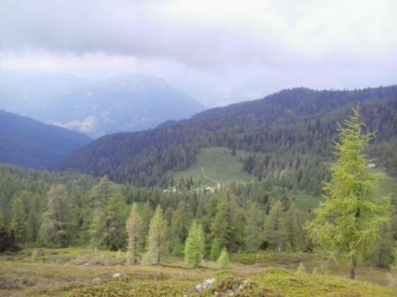 Almhutte Badstube - Photo5