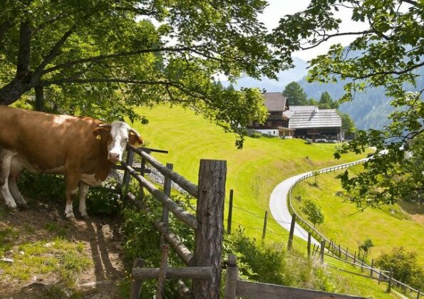 Schrunerhof - Photo4