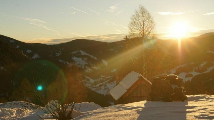 Schrunerhof - Photo5
