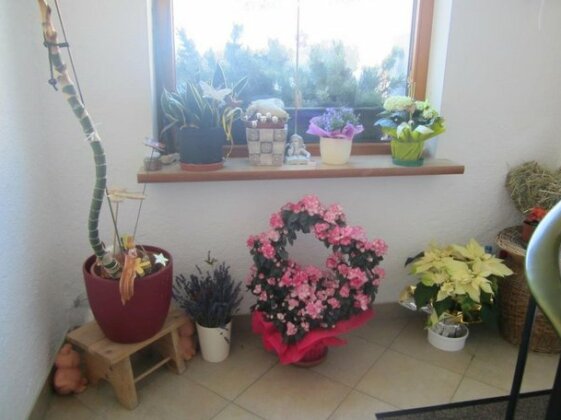 Haus Rafalt - Photo4