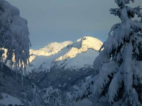 Haus Urtirol - Photo3