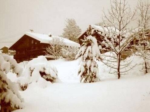 Haus Veidlis - Photo2