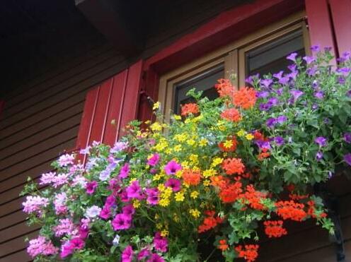 Haus Niedermoser - Photo3