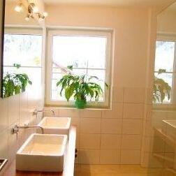 Almsterndl - Photo2