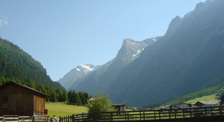 Appartement Alpina - Photo4