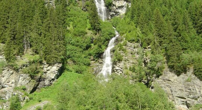 Appartement Alpina - Photo5