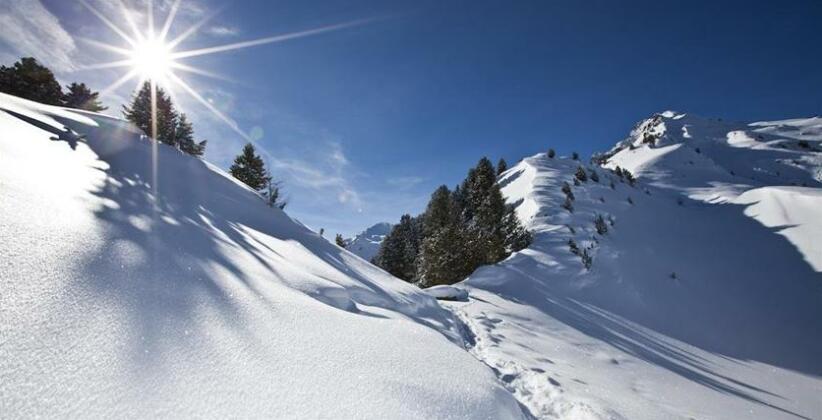 Pension Steinkogel - Photo2