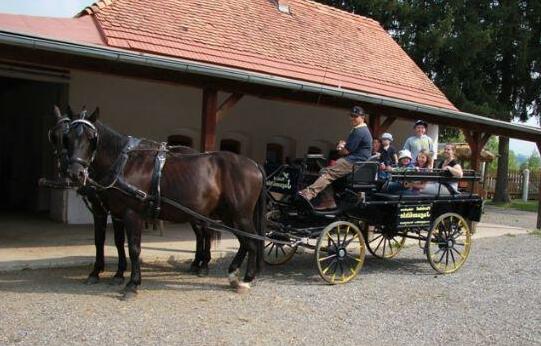 Gasthof Martinhof - Photo5