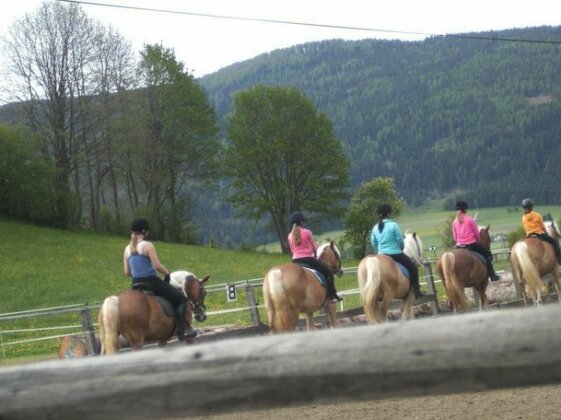 Gasthof Auwirt - Photo3