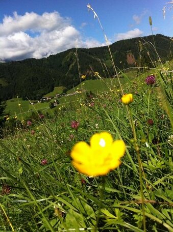 Gotschlhof - Photo2